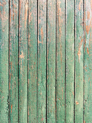 Fototapeta na wymiar Green weathered plank with the cracked paint
