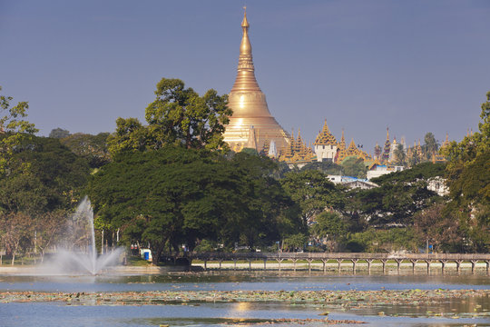 Golden temple in Yangon Myanmar near the lake 