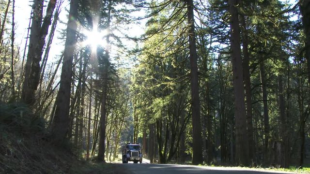 Dump truck driving up forest road in the Pacific Northwest, Oregon.