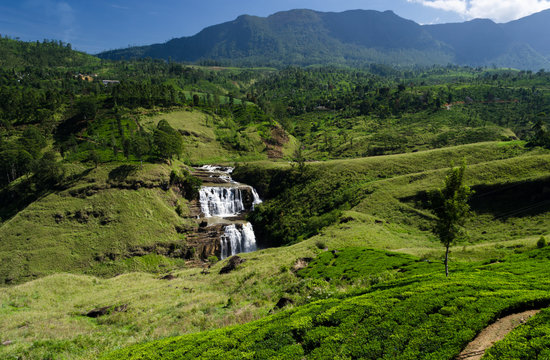 Fototapeta St. Clair's Falls is one of the widest waterfalls in Sri Lanka and is commonly known as the "Little Niagara of Sri Lanka"