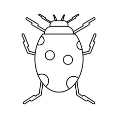 ladybug insect nature icon thin line vector illustration eps 10