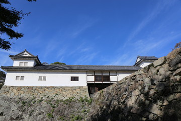 Fototapeta na wymiar 秋の彦根城