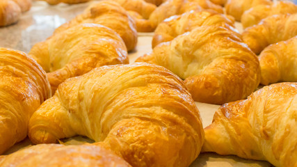 fresh croissant