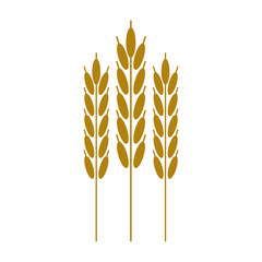 harvesting wheat ears cereal vector illustration eps 10