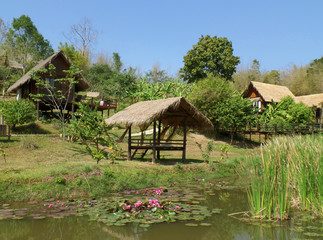 Fototapeta na wymiar Traditional Thai Thatched Roof House and Pavilion around the Lotus Pond, Countryside of Thailand 