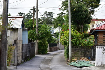 Fototapeta na wymiar 沖縄の路地