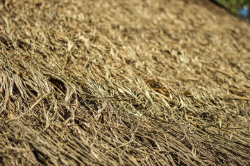 grass roof