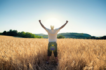 golden wheat field in with free happy man a sunny day