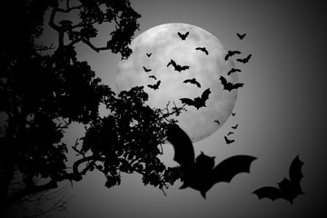 Trees in bat scary night shadow.