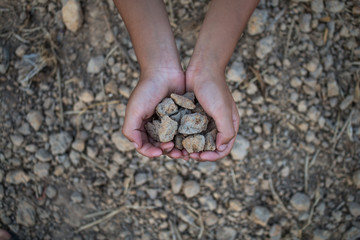 Soil water deficit, Drought.