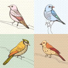 illustration of a bird. hand made background