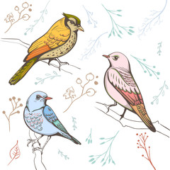 illustration of a bird. hand made background