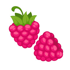 Pink Raspberry Berry Realistic Vector Illustration