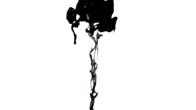 Black inks in water 4K. A drop of black ink in water in slow motion 

