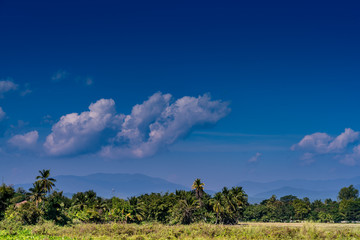 Obraz premium Cloud with blue sky
