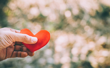 Hand holding a red heart