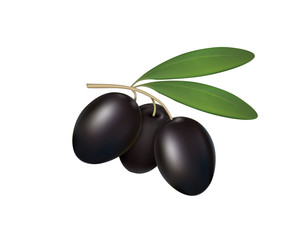 Black olives on white background