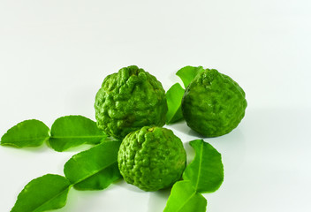 Fresh kaffir lime from herbs garden, known also as leech lime,bergamot. The leaves are commonly used as ingredient  in Thai cooking.