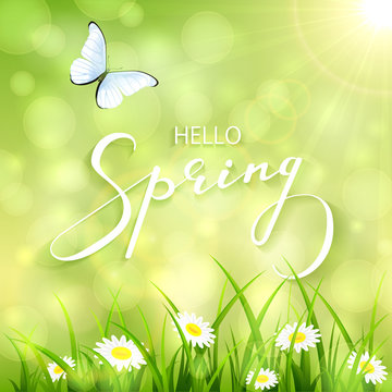 Green abstract spring background