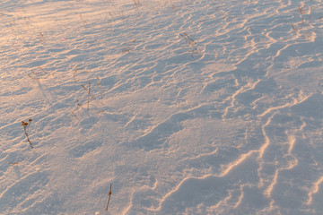 snow dunes in the field. background white