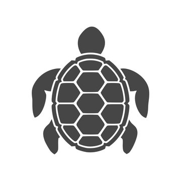 Turtle Icon Flat Graphic Design - Illustration