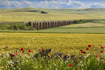 Spring rural landscape: railway bridge on the green wheat field.Apulia.ITALY .Rural landscape with vernal wildflowers: poppies in a field with unripe cornfield. © vololibero