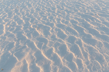 snow dunes in the field. background white