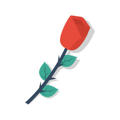 Rose isolated on white background. Color icon. Red flower with thorns and leaves. Vector illustration of a flat design.