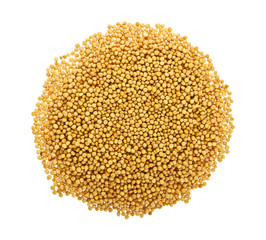 Yellow mustard seeds isolated on white background