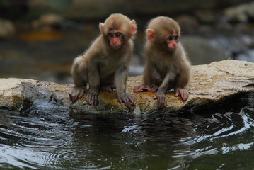 Naklejka premium hell valley