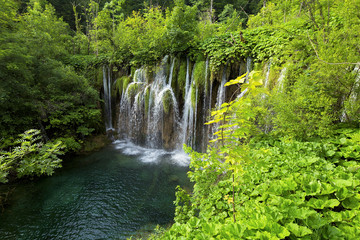 Fototapeta na wymiar Plitvice lakes park in Croatia.