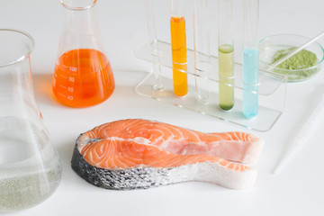 Test salmon fish in laboratory control of mercury and toxic dye - obrazy, fototapety, plakaty