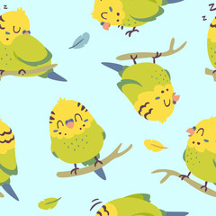 vector cartoon budgie parrot seamless pattern