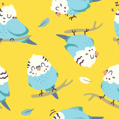 vector cartoon budgie parrot seamless pattern
