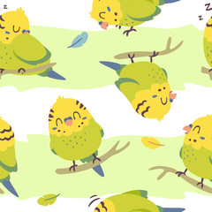 vector cartoon budgie parrot seamless pattern
