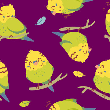 vector cartoon budgie parrot seamless pattern