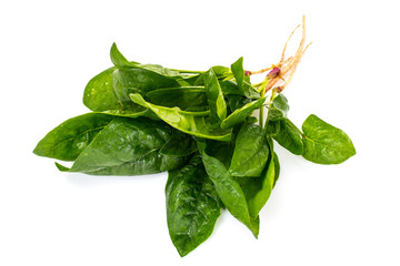 Juicy Fresh Spinach Leaves