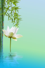 Obraz na płótnie Canvas lotus et bambou, décor relaxant, 