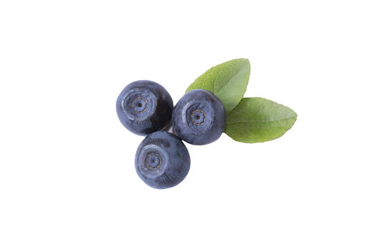 three large blueberries with leaves isolated on white background