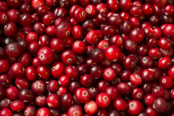 many ripe berries of cranberry on the surface very red