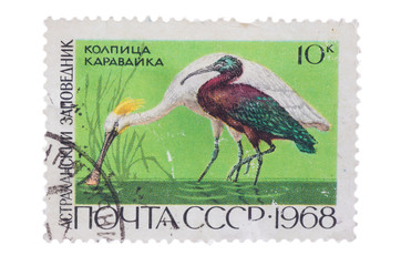 USSR - CIRCA 1968: A postage stamp printed in the  shows  s