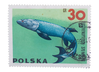 POLAND - CIRCA 1966: stamp printed in  shows a series of p