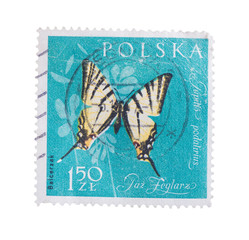 POLAND - CIRCA 1961: A stamp printed by , shows butterfly,