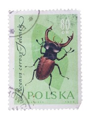 POLAND - CIRCA 1980: A Stamp printed in  shows image of  