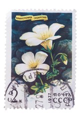 RUSSIA - CIRCA 1977: a stamp printed in the  shows Siberia