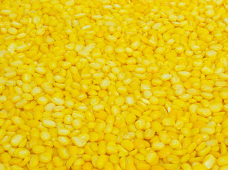 The most yellow beans on texture and background