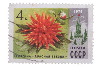 USSR - CIRCA 1978: A Postage Stamp Shows Dahlia Red Star,  