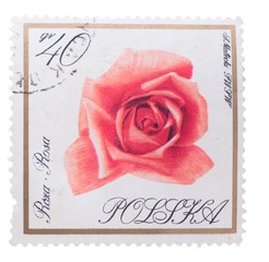 POLAND - CIRCA 1976: A stamp printed in  shows  series of