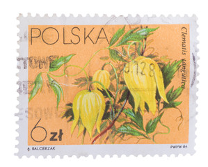 POLAND - CIRCA 1984: A stamp printed in  showing Chinese C