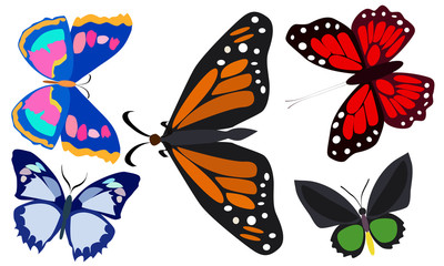 Obraz na płótnie Canvas Butterflies flying Clip art
